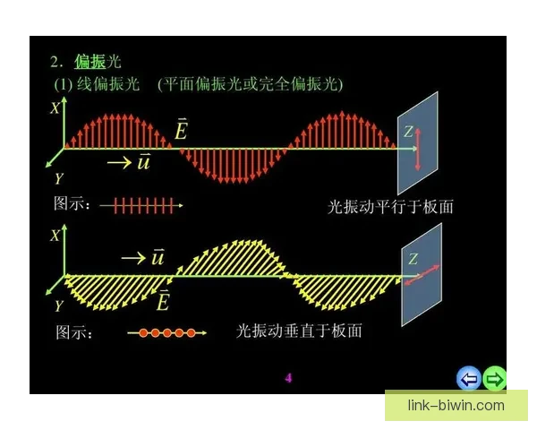 布儒斯特角原理与偏振光现象应用及光学反射折射规律解析深入探究